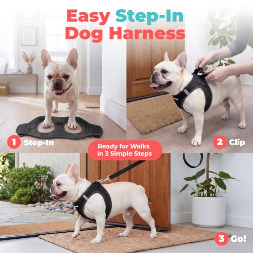 Best Pet Supplies harness back strap and D-rings