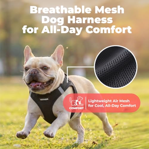 Best Pet Supplies dog harness buckle and fastener