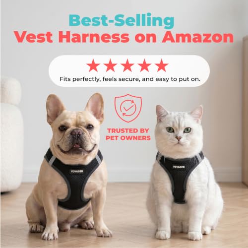 Best Pet Supplies Voyager reflective band detail