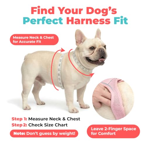 Best Pet Supplies small harness sizing view