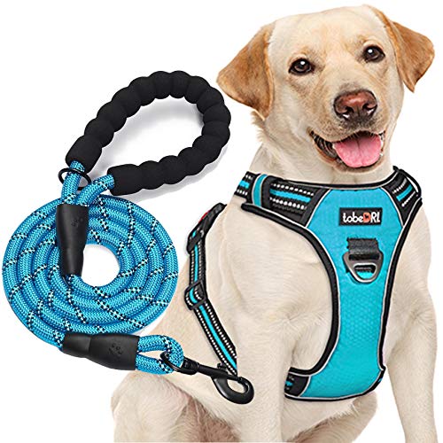 tobeDRI No Pull Dog Harness Blue front view