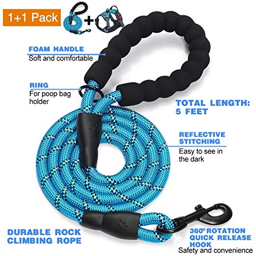 Large blue tobeDRI harness showing adjustable straps
