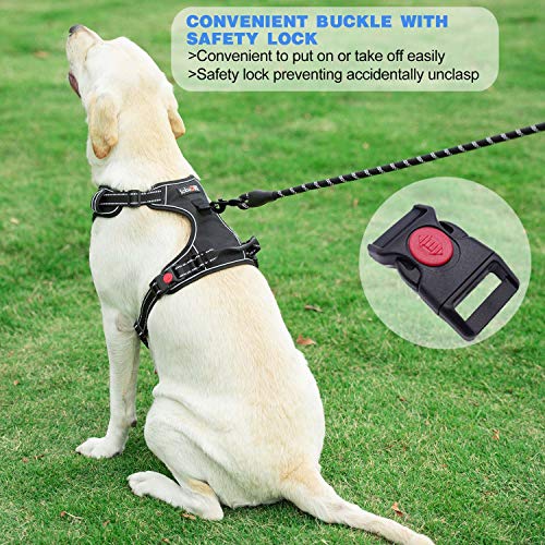Heavy duty leash included with tobeDRI harness