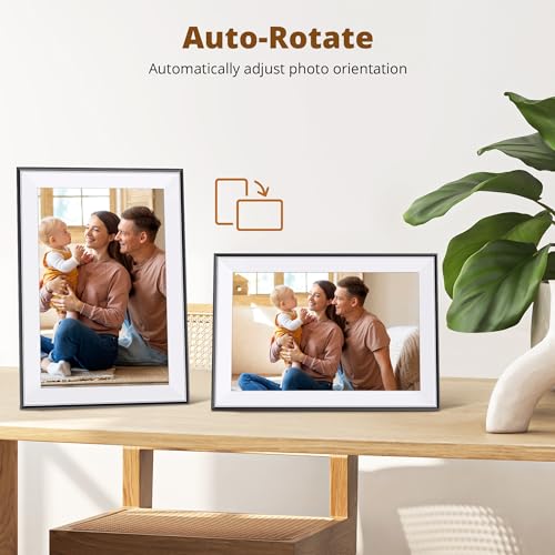 Display showcasing family photos