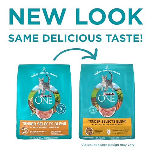 Purina ONE chicken cat food kibble texture