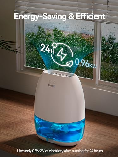 Back view of AlohaAir dehumidifier with intake vents