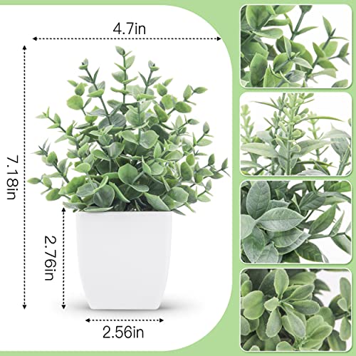 Close up view of grey artificial eucalyptus leaves