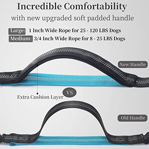 Close up of heavy duty leash clip