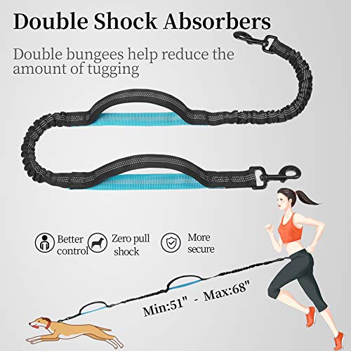 Adjustable waist belt for dog walking