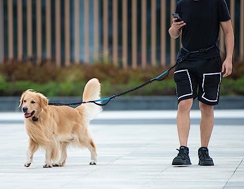 Integrated traffic handle for dog control