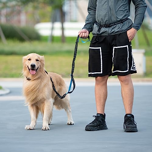 Full view of black hands free dog leash