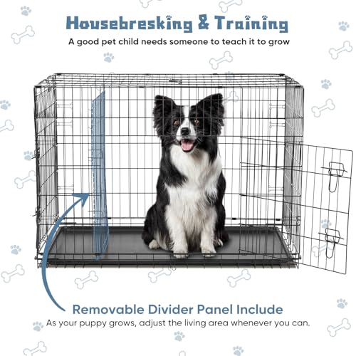 Removable tray and interior divider of DUMOS kennel