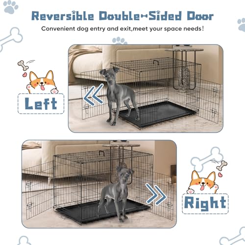 Folded DUMOS pet cage with carrying handle