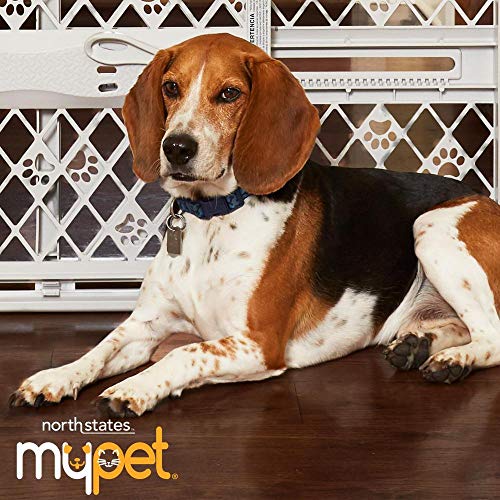 MYPET Paws gate installed in a home doorway
