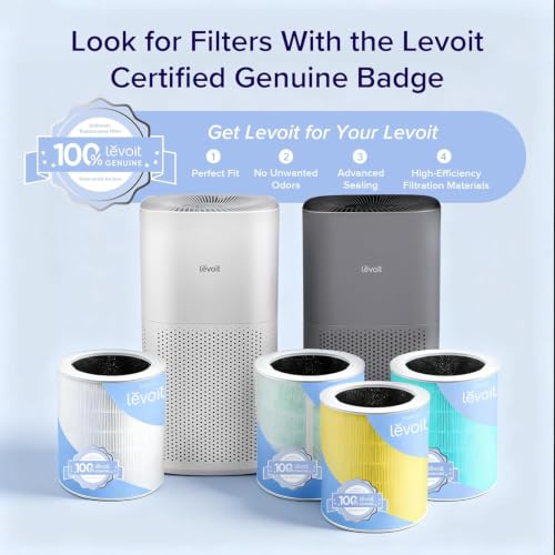 Levoit unit in large living room