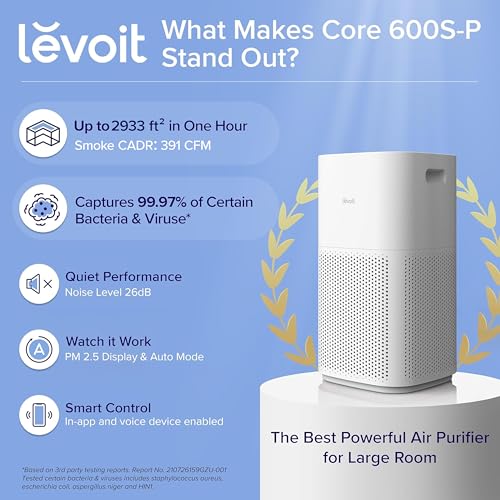 Core 600S-P showing air quality display