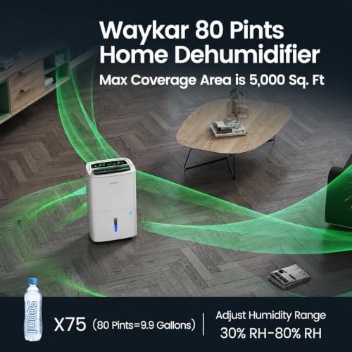Waykar YDZ-80 control panel with LCD display