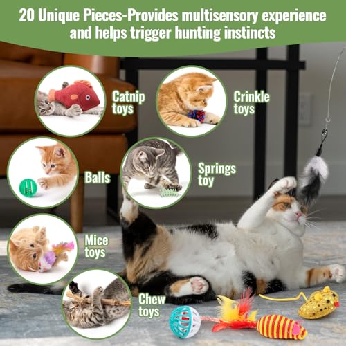 Variety of rattle balls for cats