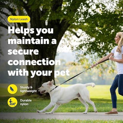 PetSafe Nylon Dog Leash bolt snap hardware detail