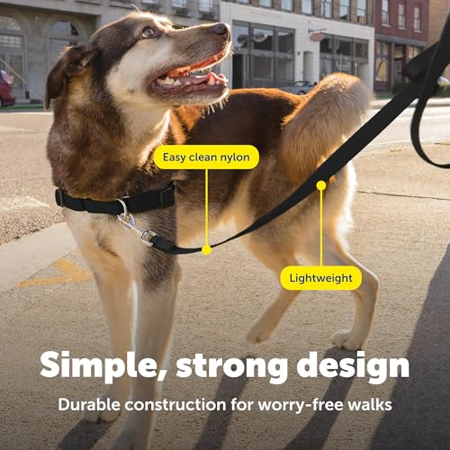 PetSafe Nylon Dog Leash displayed in retail packaging