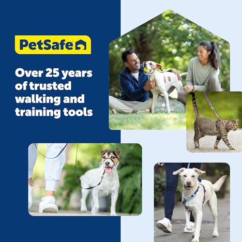 Full length view of 6 foot PetSafe leash in black