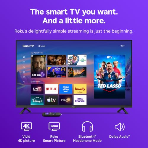 Roku TV voice remote control