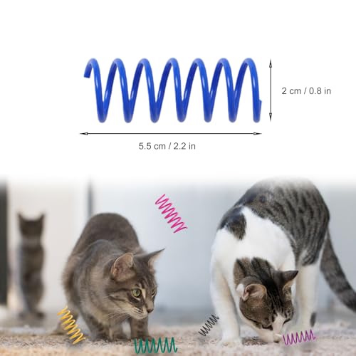 Colorful cat springs in gift box