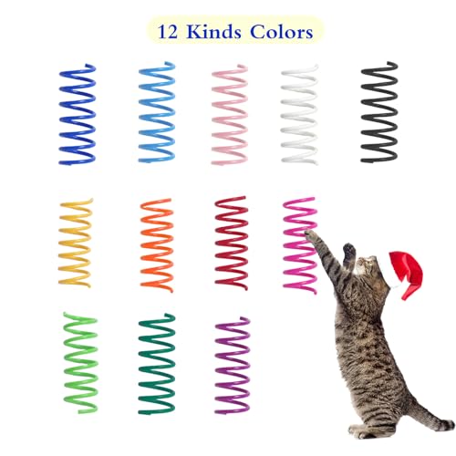 Close up of BPA-free plastic spring toy