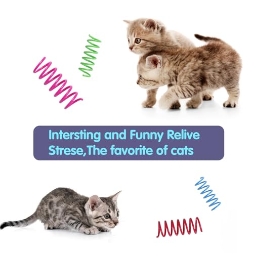 Kitys Fatch springs for cat agility