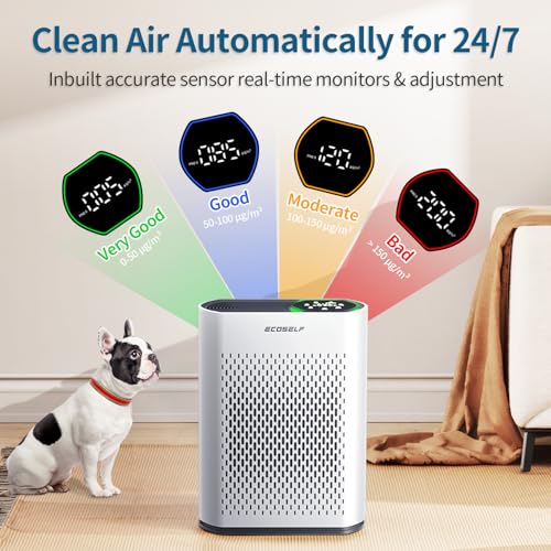 Air purifier touch control panel