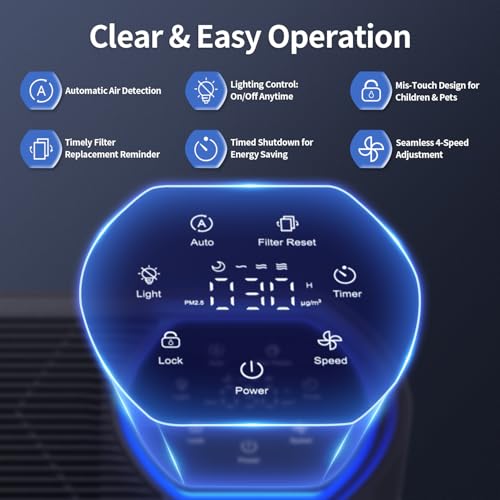 PM2.5 real-time quality display