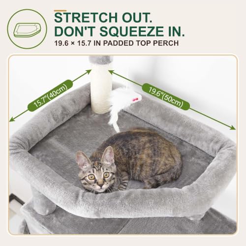 Top padded perch of the Globlazer cat tower
