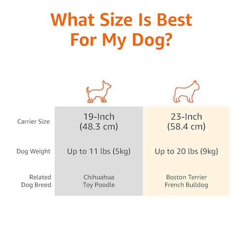 Top-loading door open on Basics pet carrier