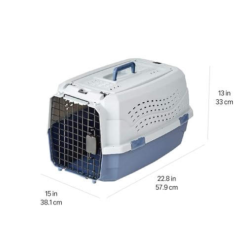 Interior space of the Basics pet crate