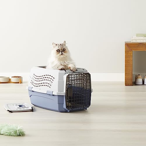 Basics hard-sided carrier with top door open