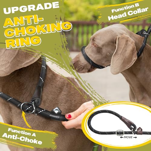 Fida training leash metal ring detail