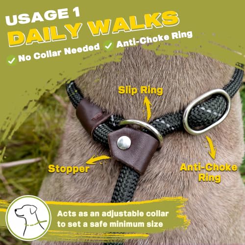 Fida slip lead on a dog
