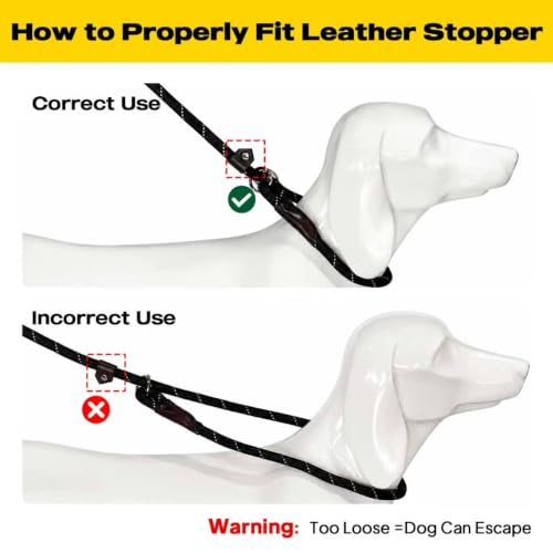 Fida leash packaging and product