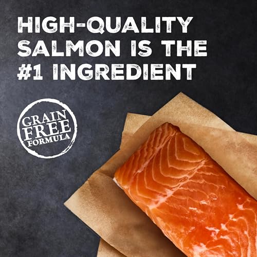 Close up of Blue Buffalo salmon kibble texture