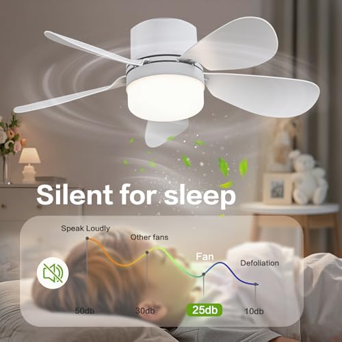 ASALL ceiling fan remote control