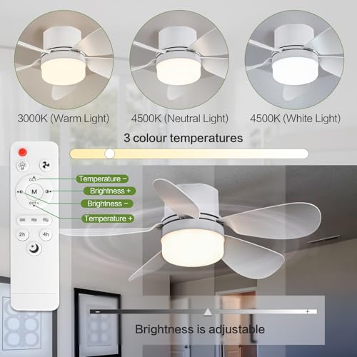 ASALL fan light installed in socket