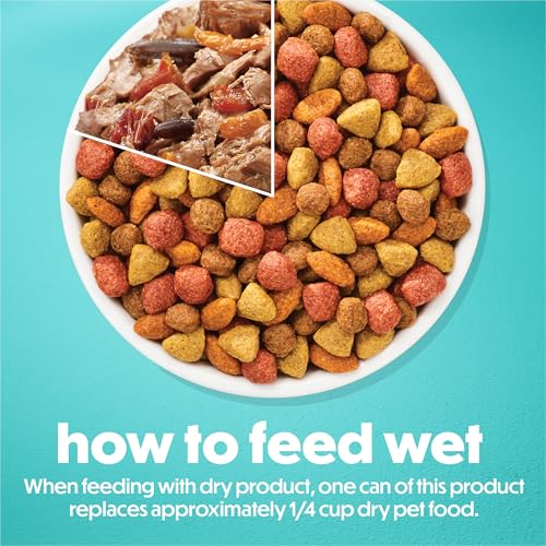 Beneful Small Breed Wet Dog Food Variety Pack ready to serve