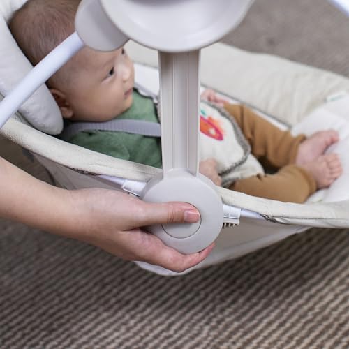 Control panel for Ingenuity Soothe 'n Delight swing
