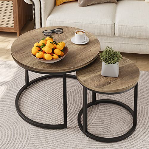Smuxee Nesting Coffee Table Set of 2