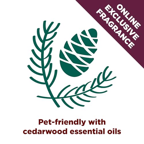 Front packaging view of Forever Fresh Cedarwood litter