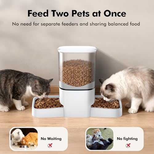 Dual stainless steel cat feeding bowls