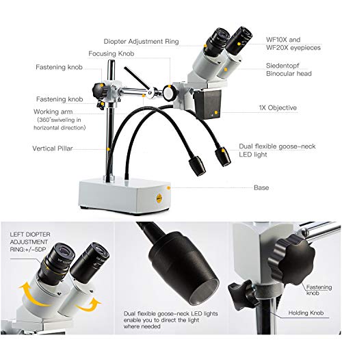 Binocular head with WF10x and WF20x eyepieces