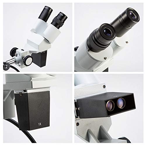 Microscope with dual goose-neck LED lights