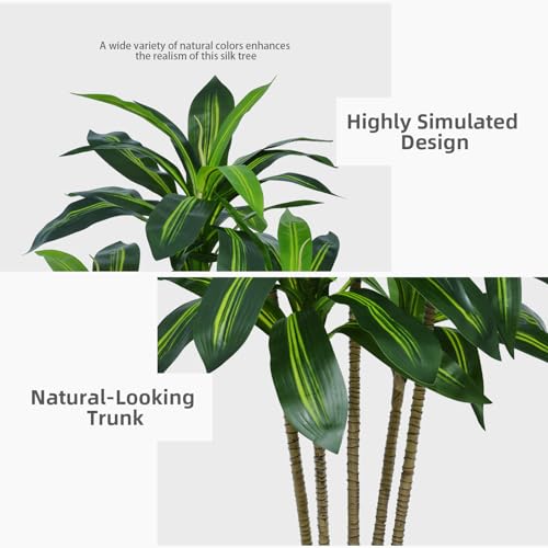 Full height view of 5FT black dracaena plant