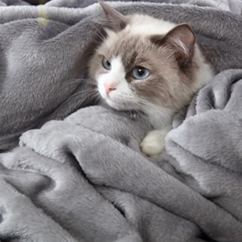 Hansleep twin blanket for camping use